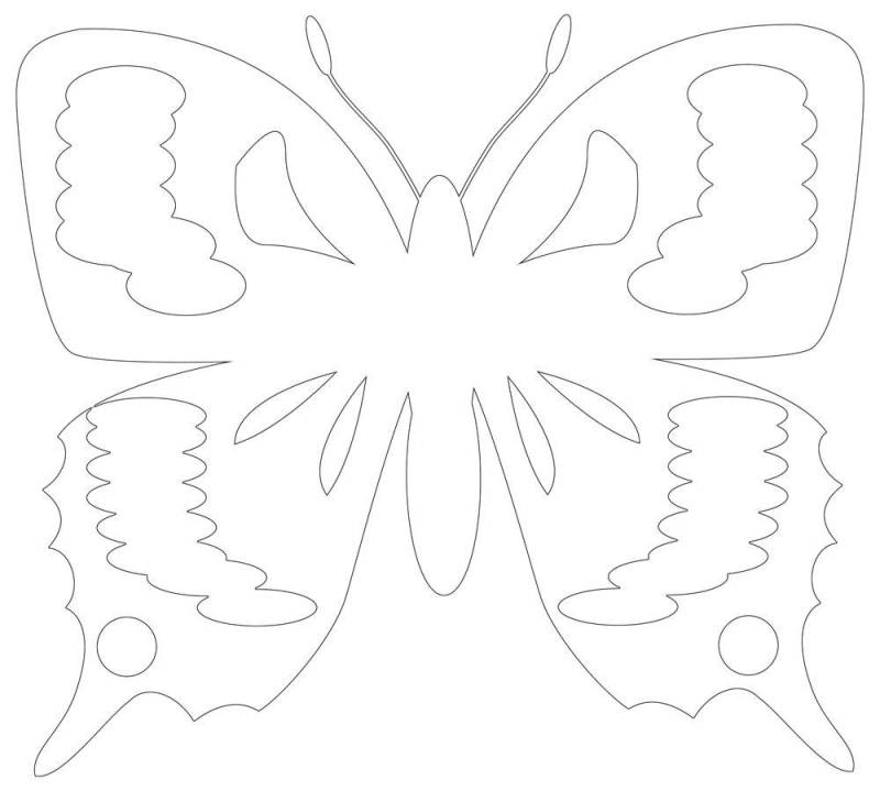 Outlines Of Butterflies