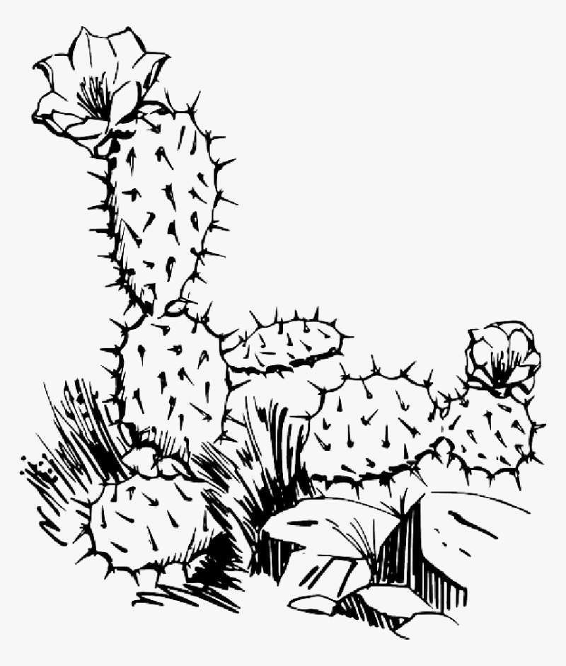 Plants Clipart Black And White