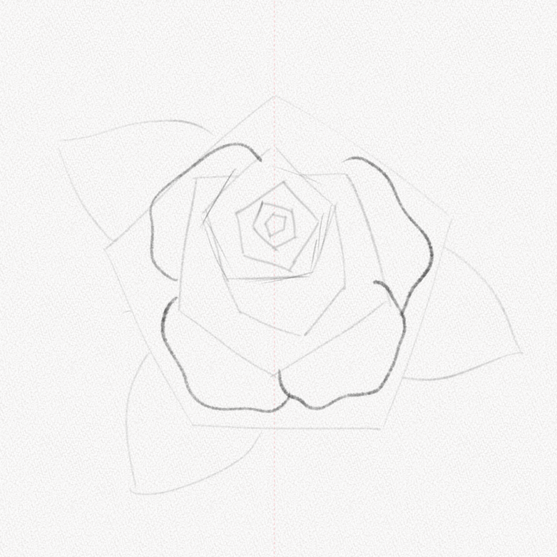 Rose Easy Drawing