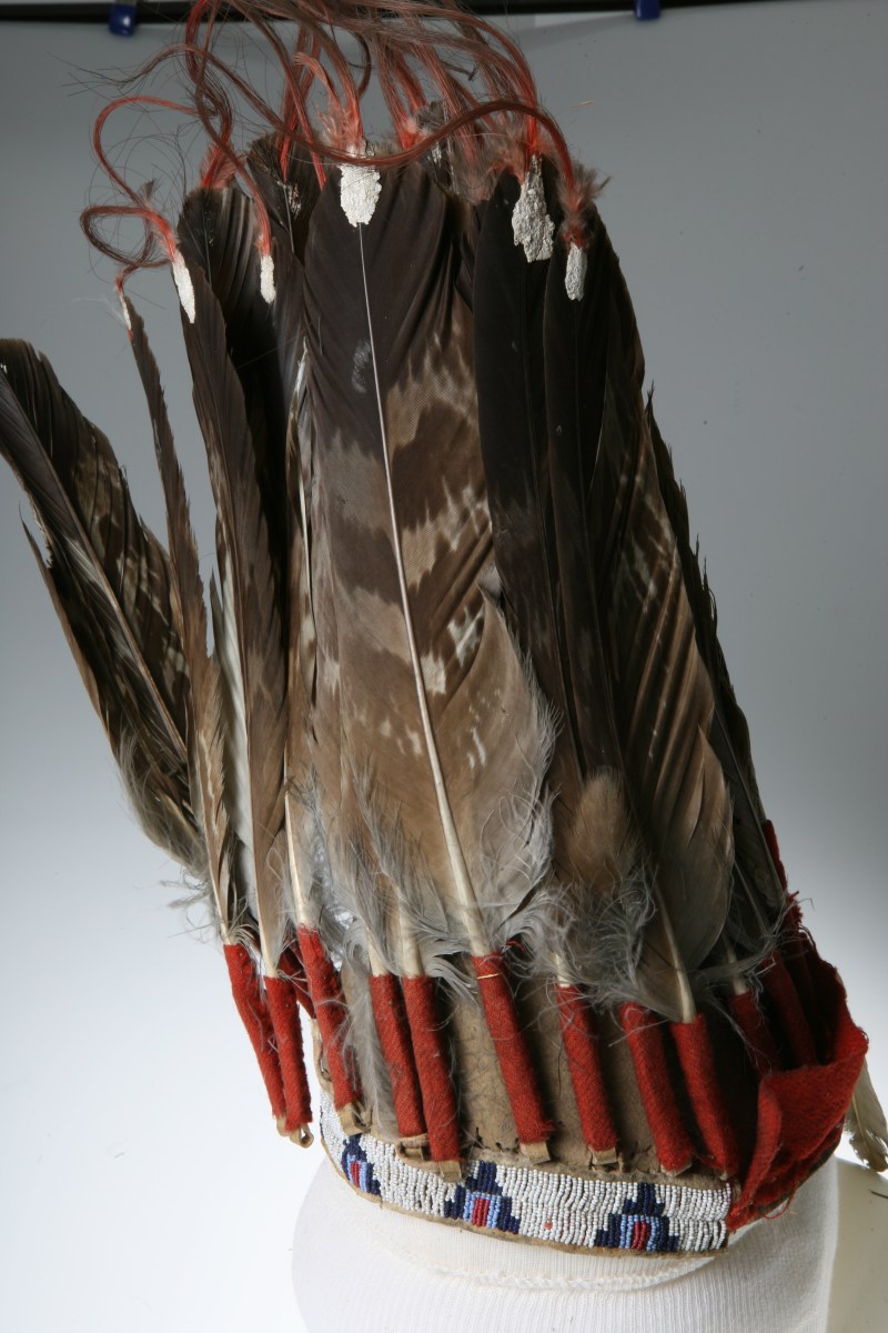 Eagle Feather Images