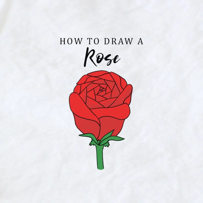 Easy Drawing Of Rose Flower