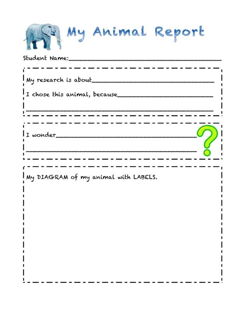 Kindergarten Book Report Template