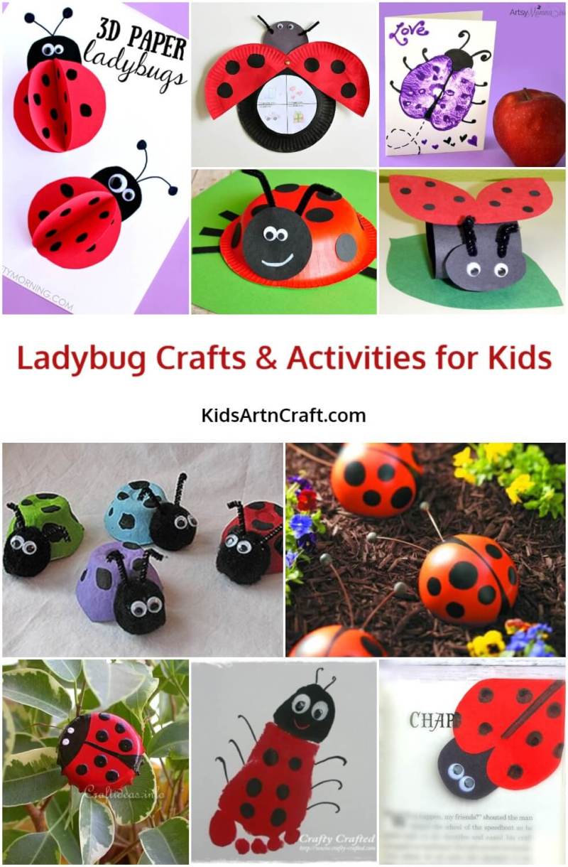 Ladybug Craft Ideas