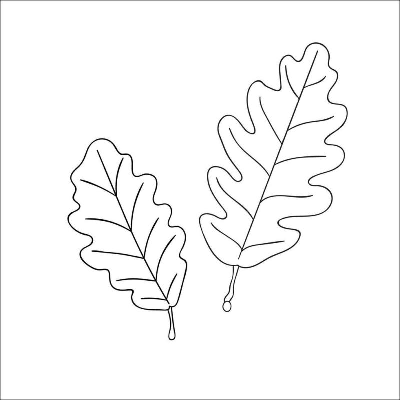 Oak Tree Leaf Template