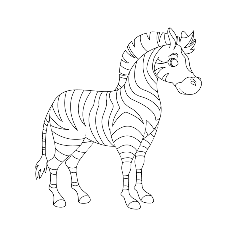 Outline Of Zebra