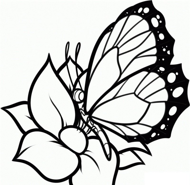 Butterfly Stencils Printable
