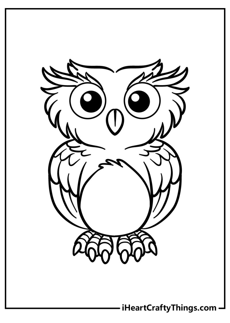 Owl Templates Printable